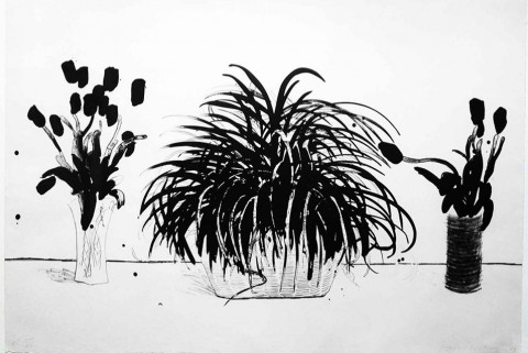 David-Hockney-Two-Vases-of-Cut-Flowers-and-a-Liriope