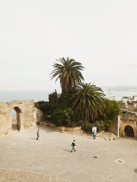 tangier-cinematheque--salva-lopez-2