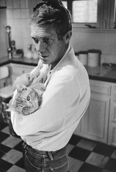 steve mcqueen and kitten