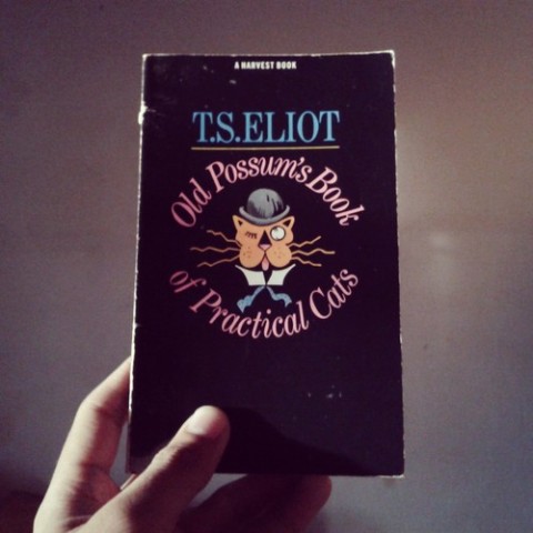 ts eliot old possum book cover