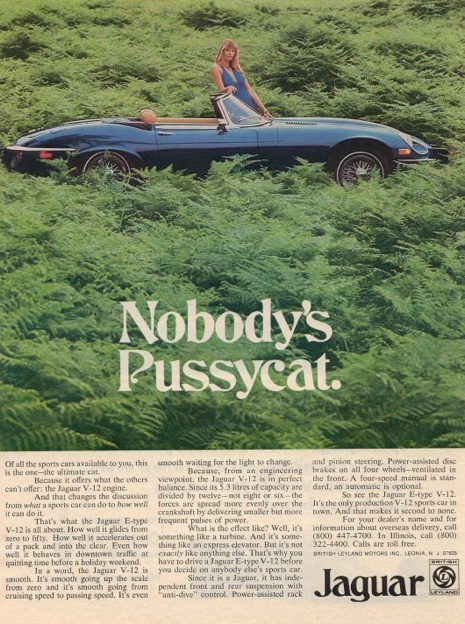 jaguar nobodys pussycat advertisement