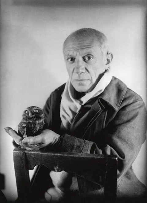 pablo picasso and owl