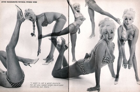 jayne mansfield for president 005