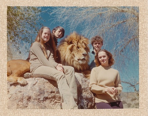 tippi hedren and family on lion