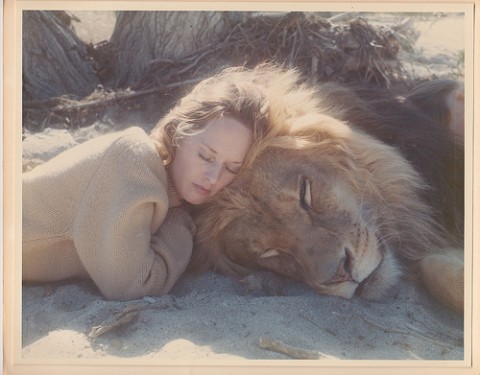 tippi hedren and lion