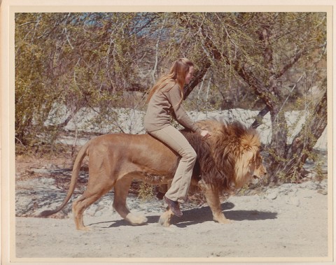 tippi hedren atop lion