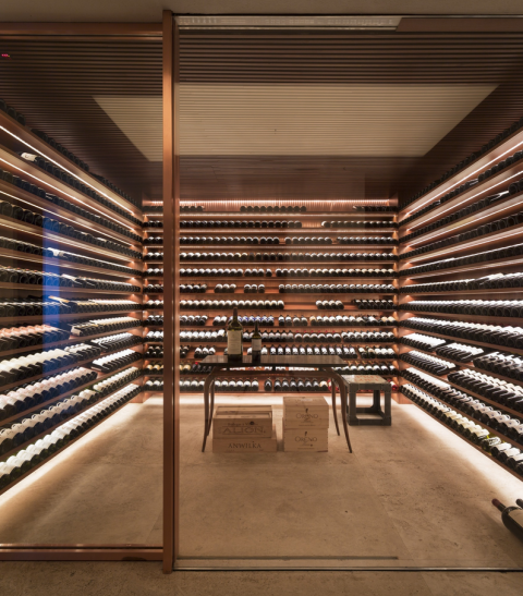 ipes-house-sao paulo- brazil-modern-architecture-best-wine-cellar