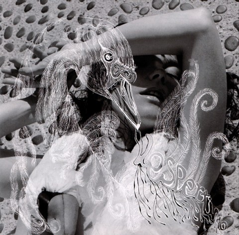 bjork-vespertine-album-cover-mmparis