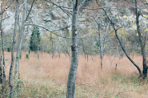 cold-spring-new-york-hiking 3