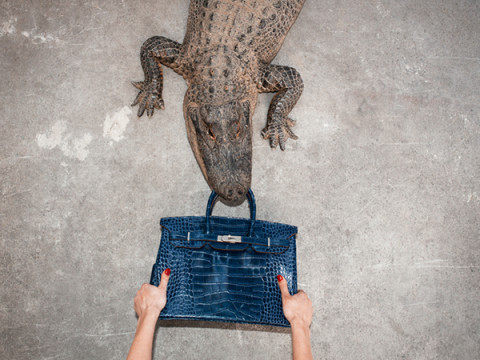 tyler shields birkin bag gator 2