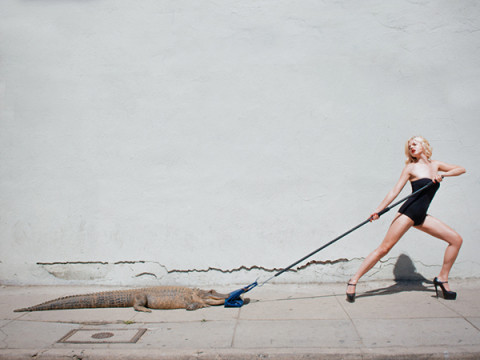 tyler shields birkin bag gator 3