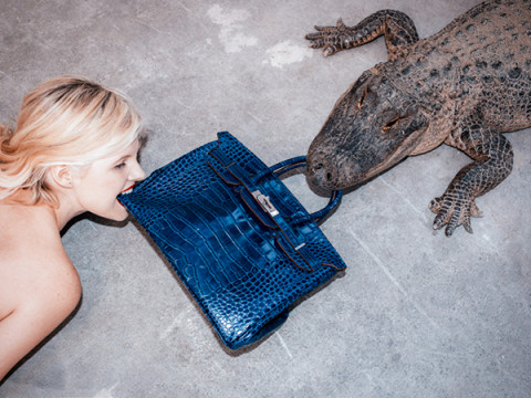 tyler shields birkin bag gator