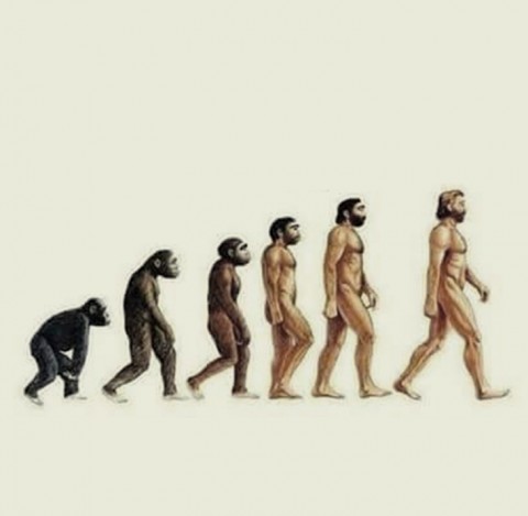 Evolution-Graph