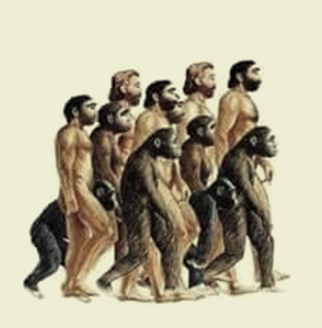 Evolution-diagram