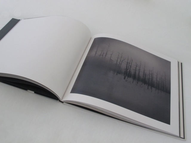 martina hoogland ivanow's book: far too close | tomorrow started